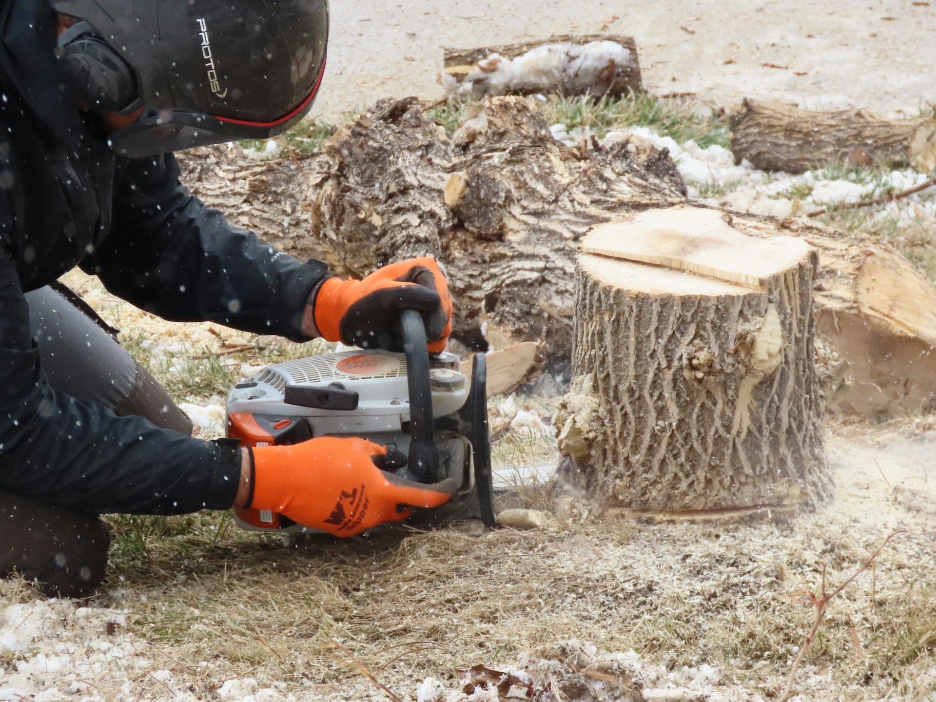 stump_removal
